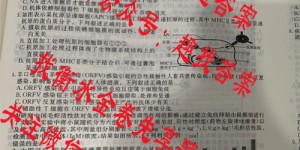 衡水金卷先享题2025-2026高三一轮复习40分钟周测卷 生物学Q(17)试题答案