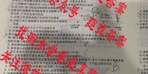 衡水金卷先享题2025-2026高三一轮复习40分钟周测卷生物学Q(二十)试题答案