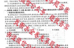 2024年衡水金卷先享题·分科综合卷 新教材AB系列各科试卷及答案